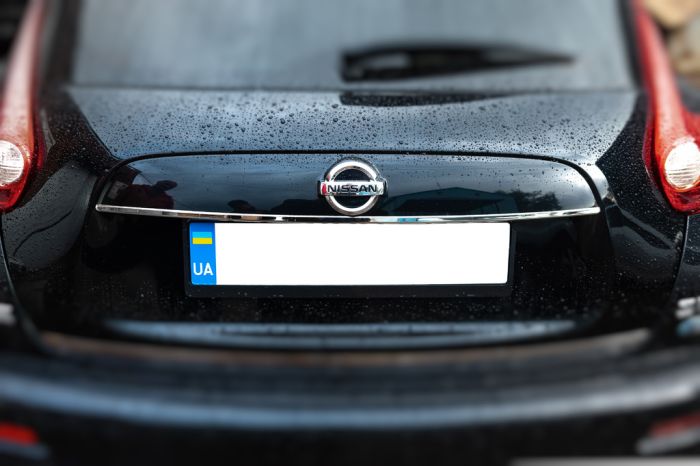 Хром планка над номером (нерж.) OmsaLine - Итальянская нержавейка для Nissan Juke 2010-2019 гг