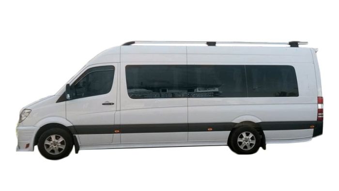 Боковые пороги Спорт (под покраску) Длинная база (L3) для Volkswagen Crafter 2006-2017 гг